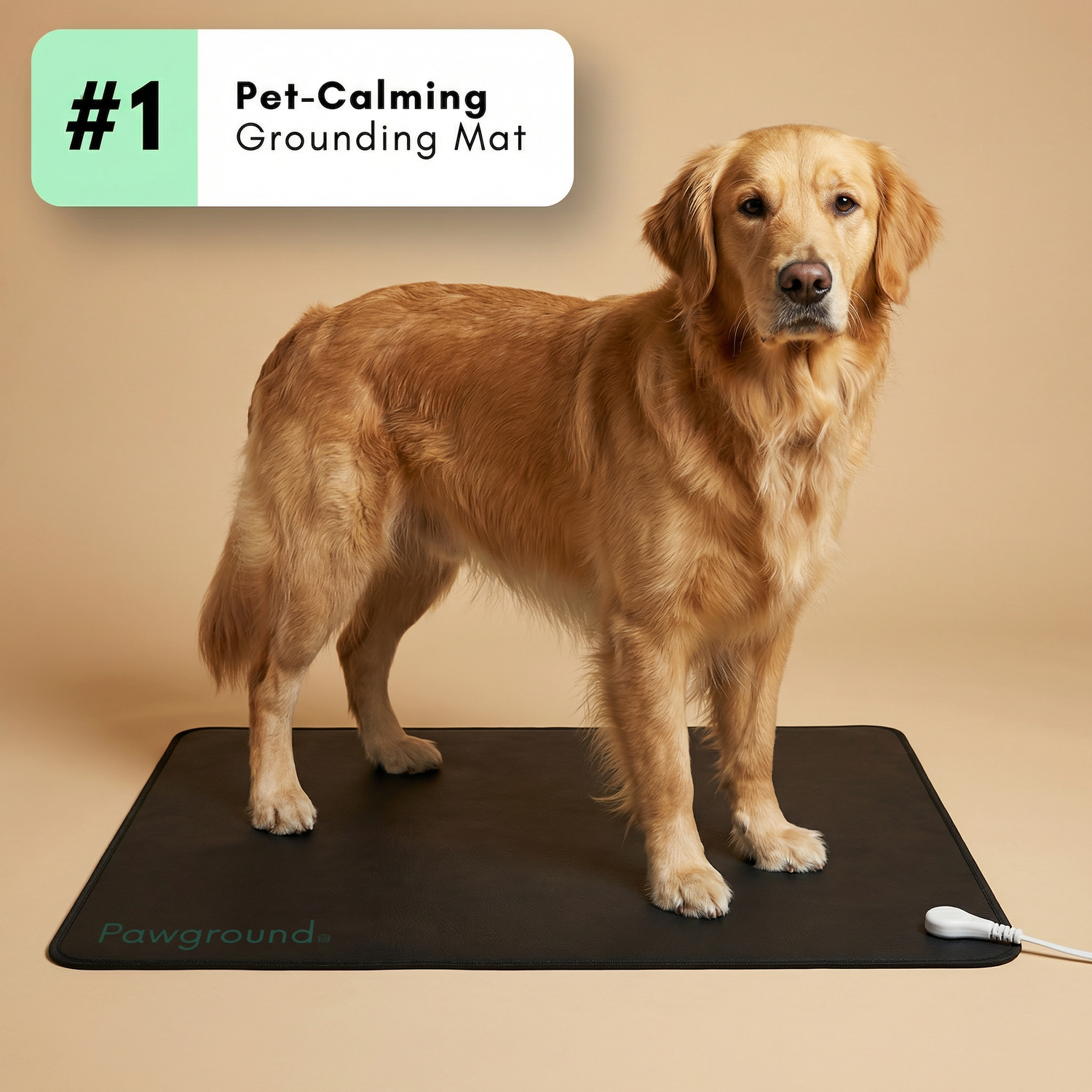 PawGround™ Earth Mat