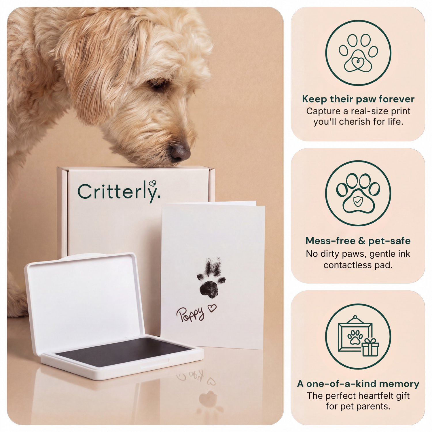 Critterly™ Paw Print Keepsake Kit