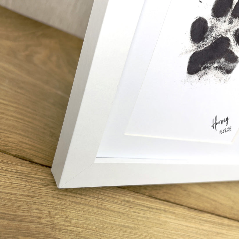 Large Paw Print Display Frame